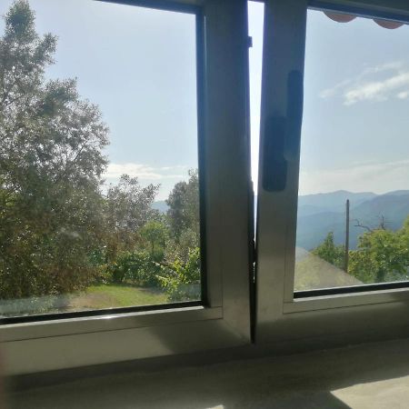 비에이라도미노 Casa Da Choqueira 빌라 외부 사진